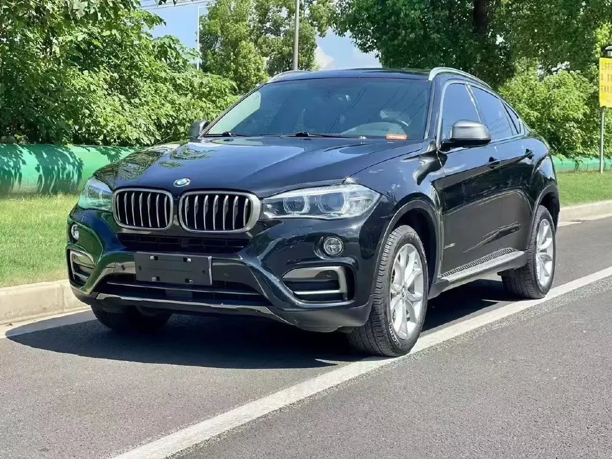 2017 BMW X6 2.0T 245HP L4 8AT