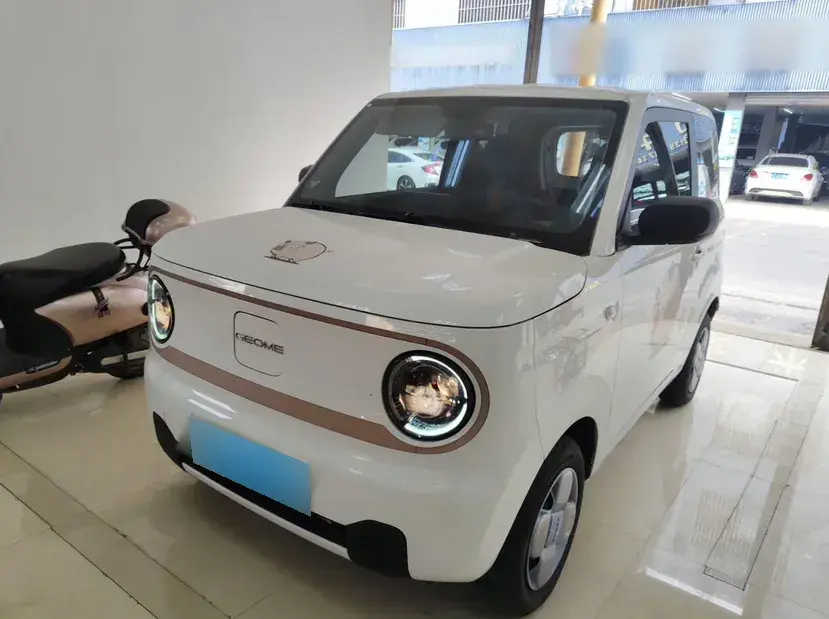 2023 Geely Galaxy Panda BEV 17.03KWH