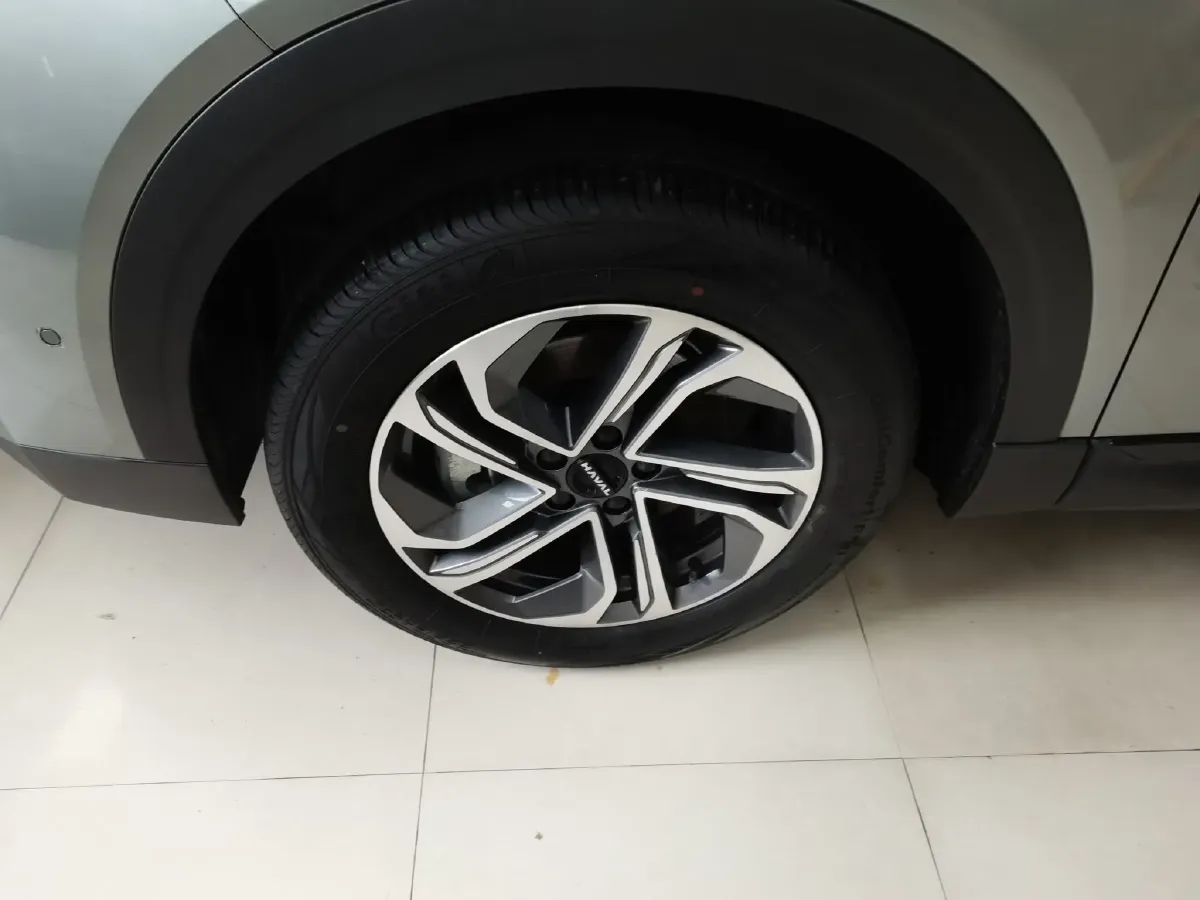 2023 Haval Fierce Dragon 1.5L 101HP L4 2DHT PHEV 19.27KWH,autocango,china used car exporter,china ev exporter,chinese used car exporter,chinese used ev exporter