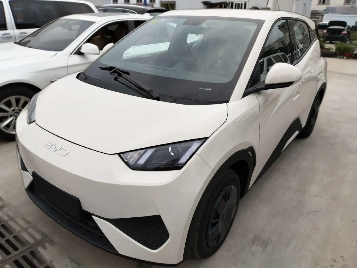 2025 BYD Seagull BEV 30.08KWH