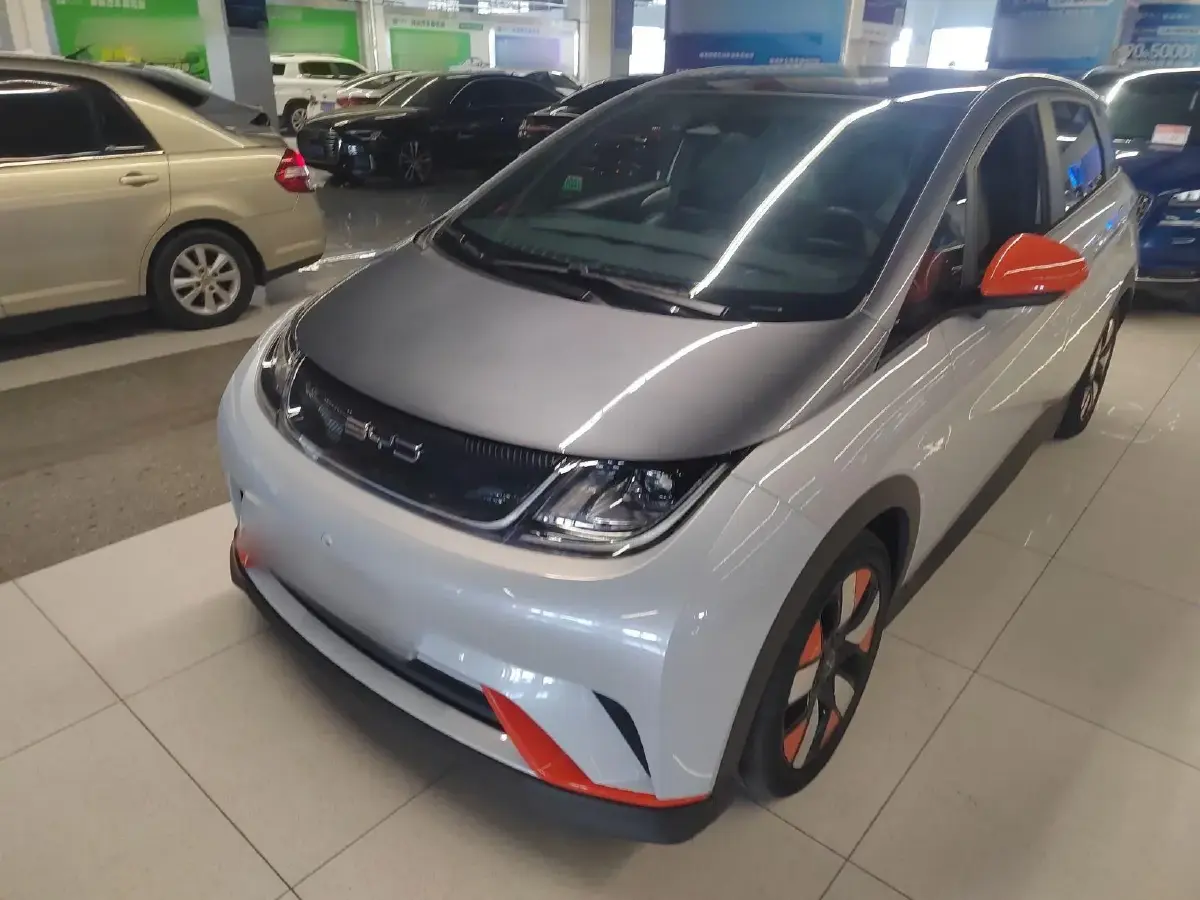 2021 BYD Dolphin BEV 44.9KWH