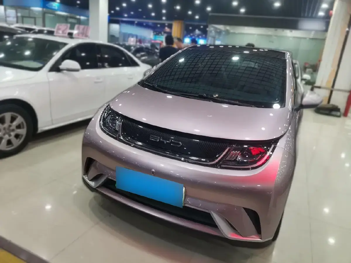 2021 BYD Dolphin BEV 44.9KWH