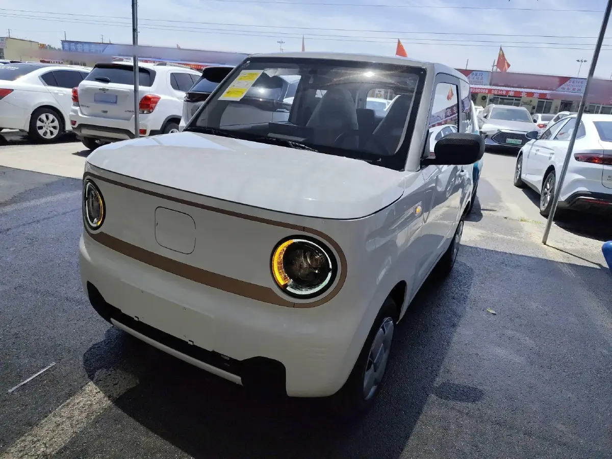 2024 Geely Galaxy Panda BEV 17.03KWH