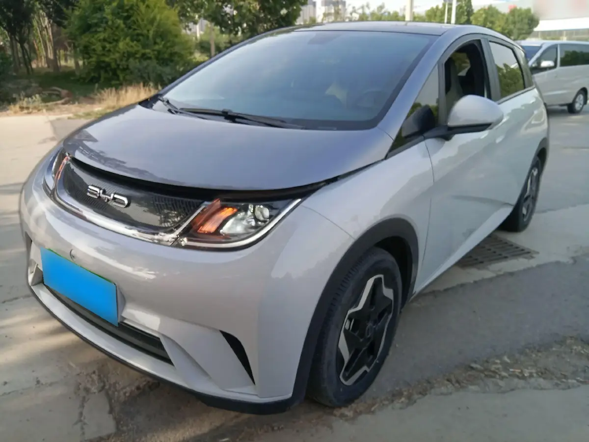 2021 BYD Dolphin BEV 44.9KWH