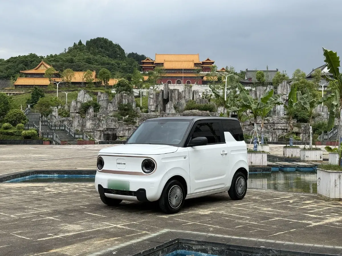 2023 Geely Galaxy Panda BEV 17.03KWH