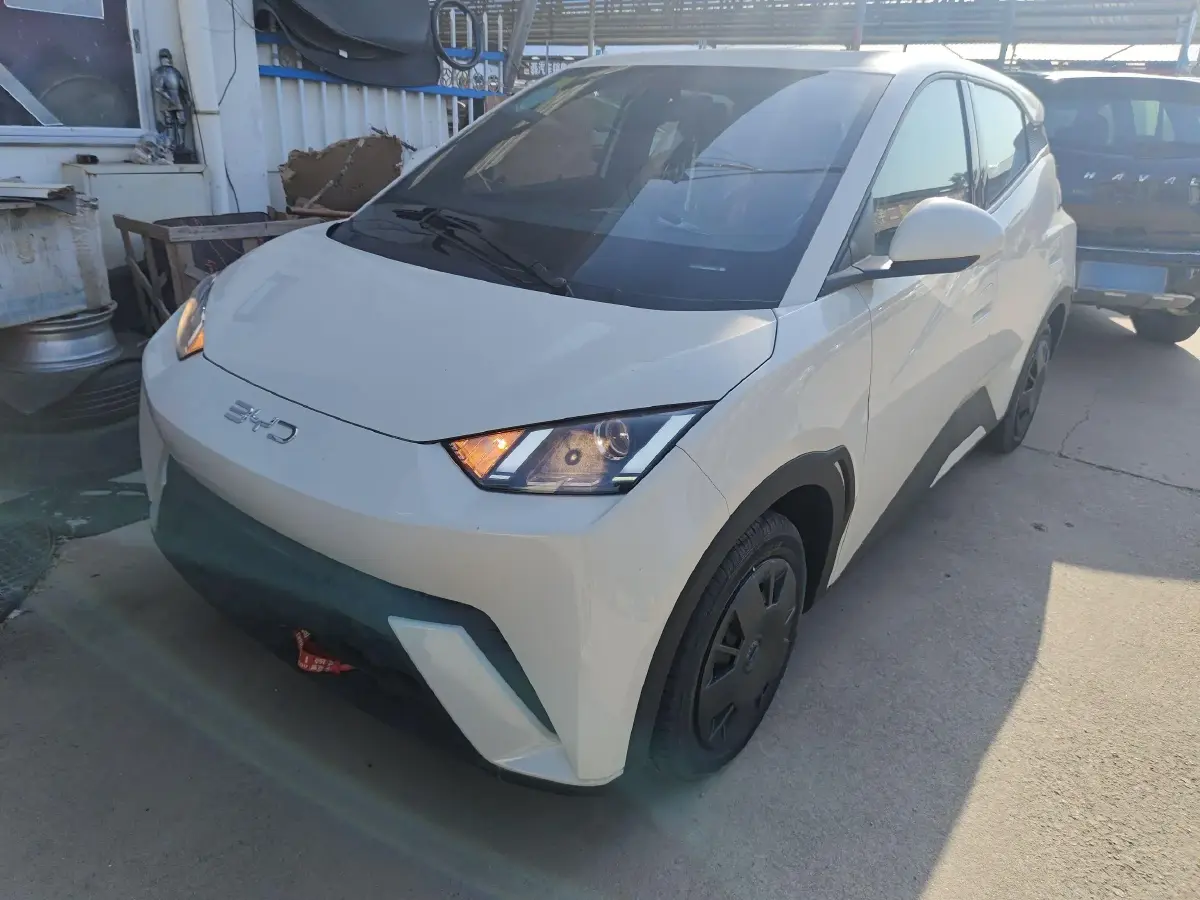 2024 BYD Seagull BEV 30.08KWH