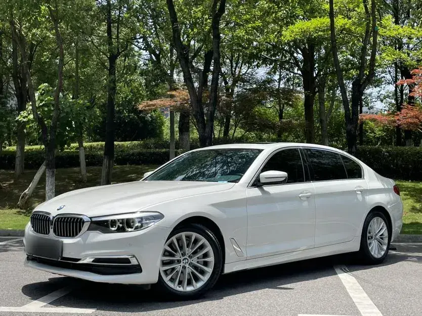 2019 BMW 5 Series 2.0T 252HP L4 8AT