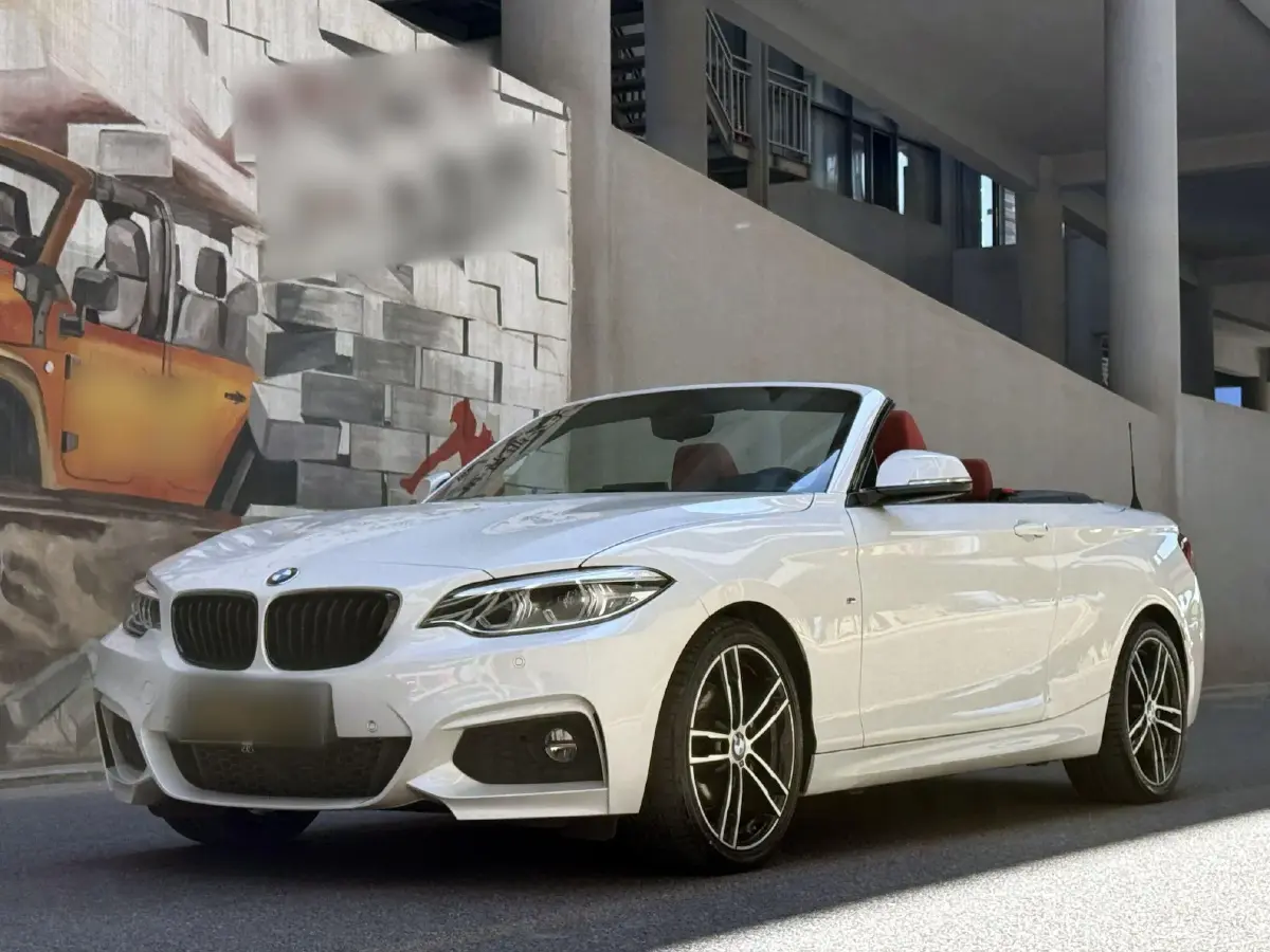 2019 BMW 2 Series 2.0T 184HP L4 8AT