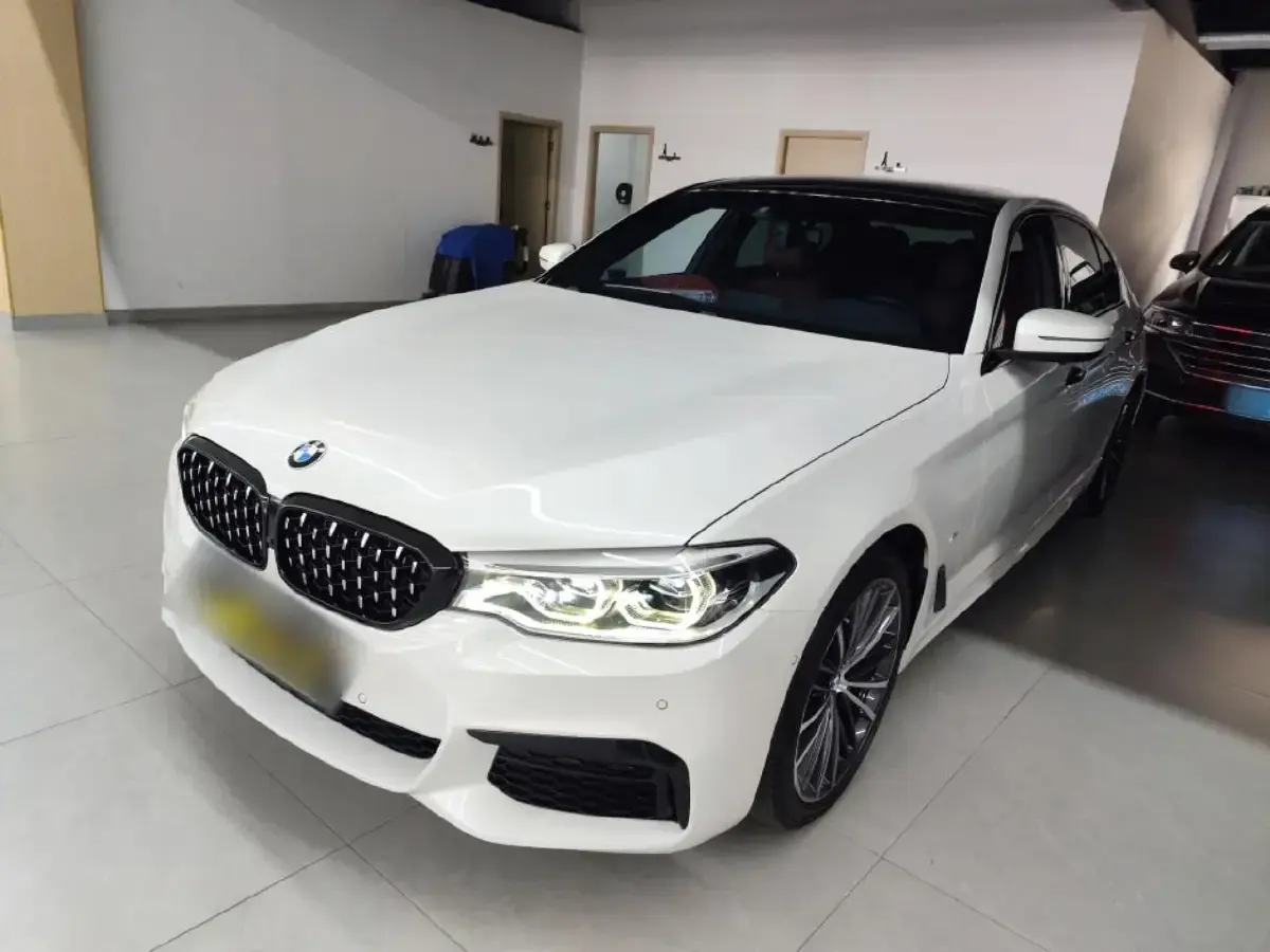 2020 BMW 5 Series 2.0T 252HP L4 8AT