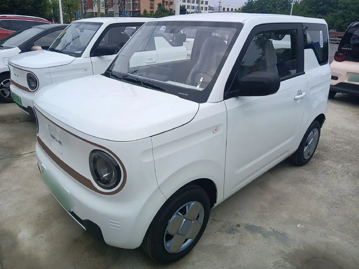 2024 Geely Galaxy Panda BEV 17.03KWH