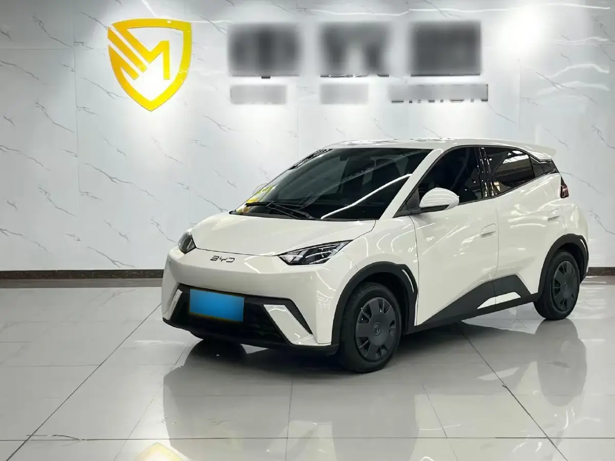 2025 BYD Seagull BEV 30.08KWH