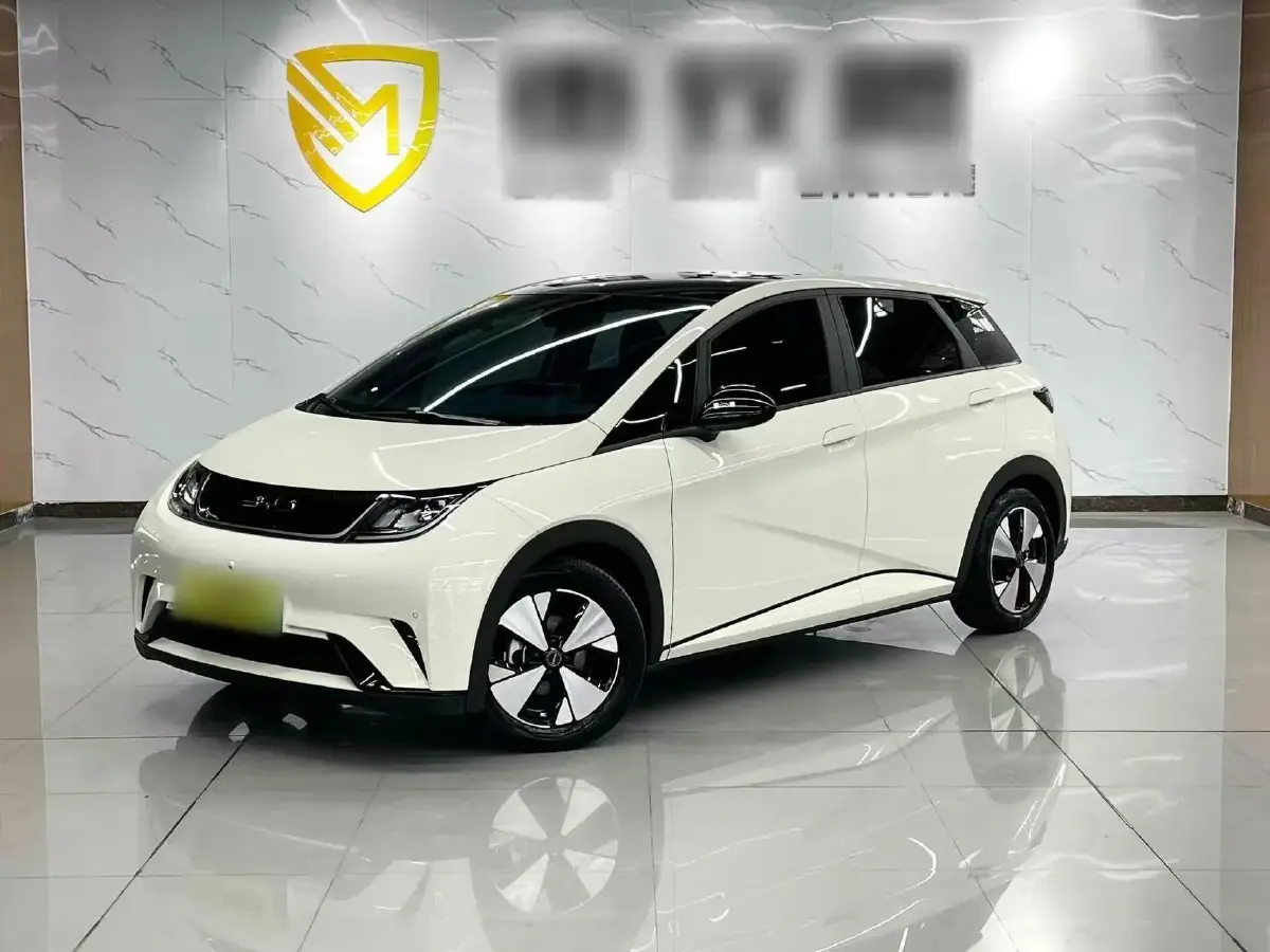 2023 BYD Dolphin BEV 44.928KWH