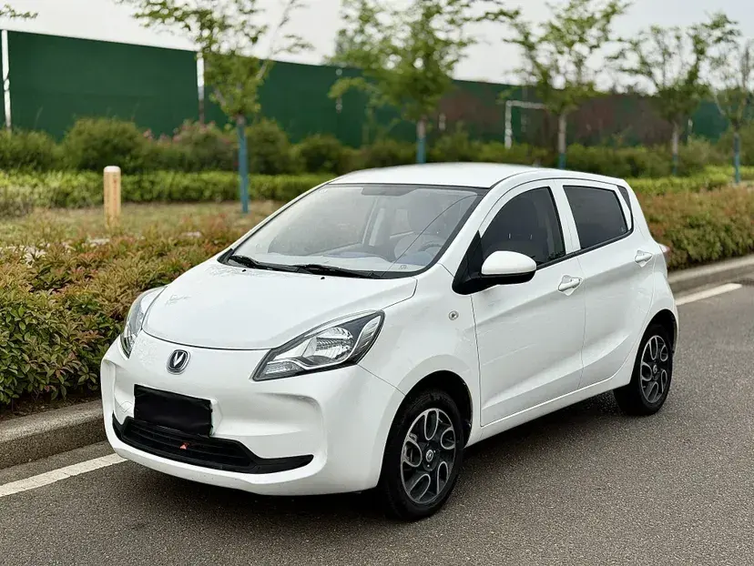 2021 ChangAn BenBen E-Star BEV 31.86KWH