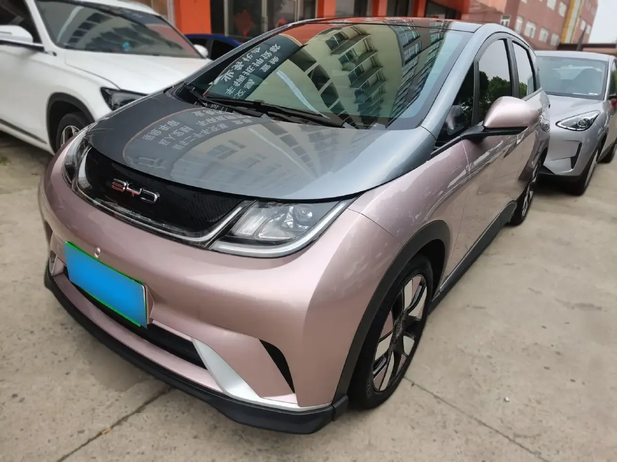 2021 BYD Dolphin BEV 44.9KWH