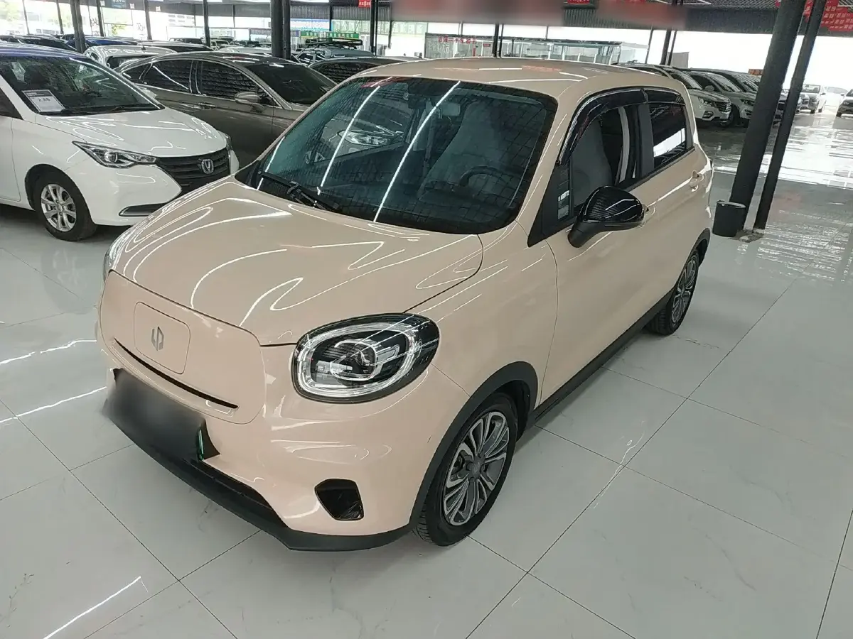 2021 Leapmotor T03 BEV 41KWH