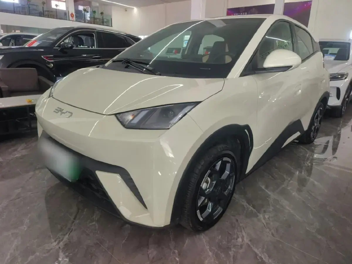 2025 BYD Seagull BEV 38.88KWH