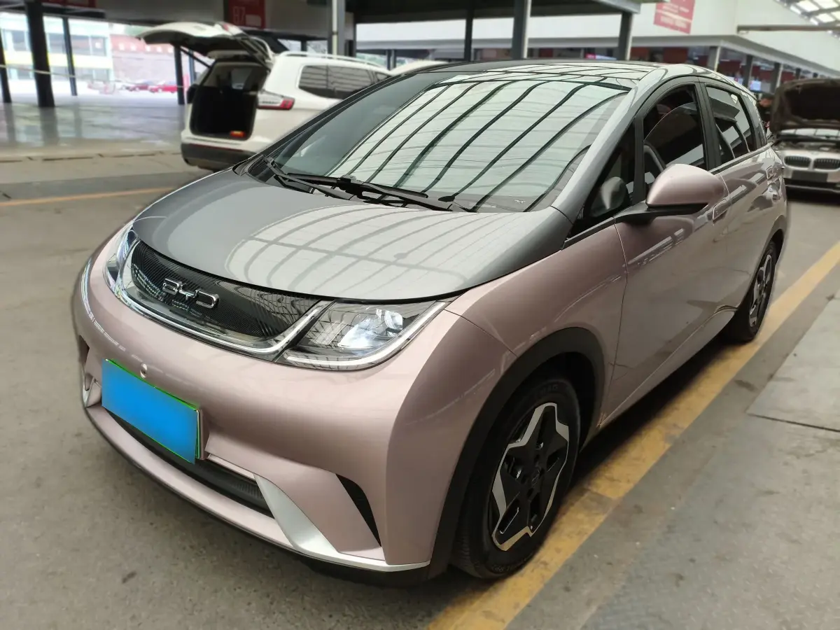 2021 BYD Dolphin BEV 44.9KWH