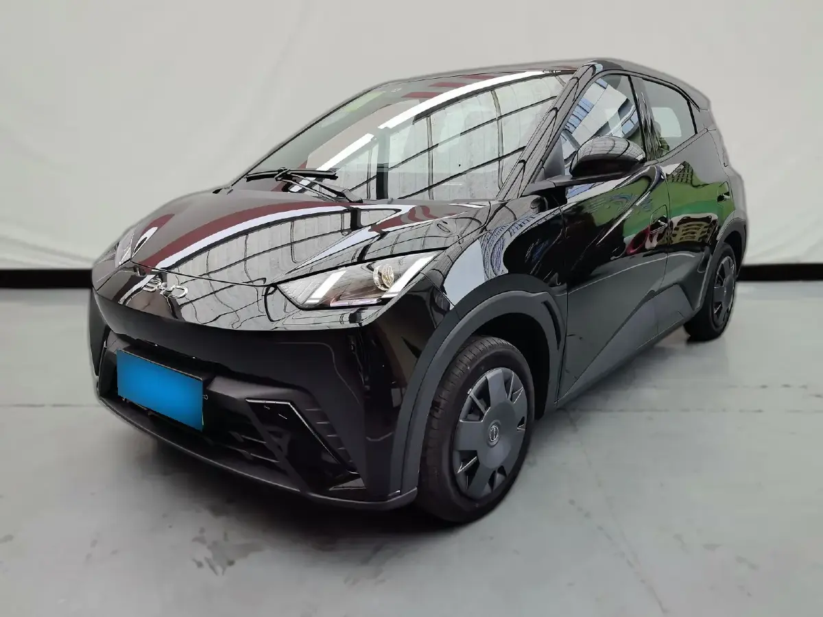 2024 BYD Seagull BEV 30.08KWH