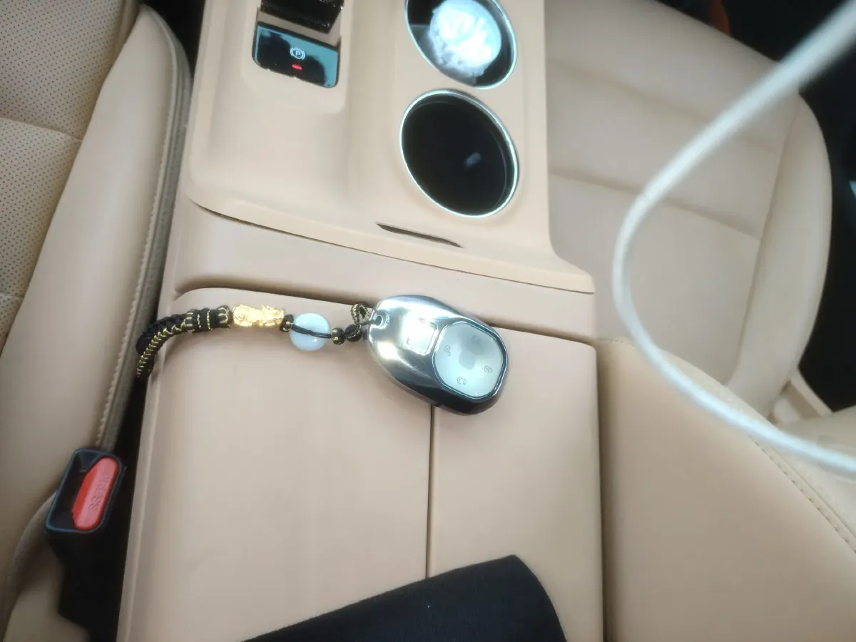 2024 GAC Trumpchi E8 2.0L 140HP L4 2DHT PHEV 25.57KWH,autocango,china used car exporter,china ev exporter,chinese used car exporter,chinese used ev exporter