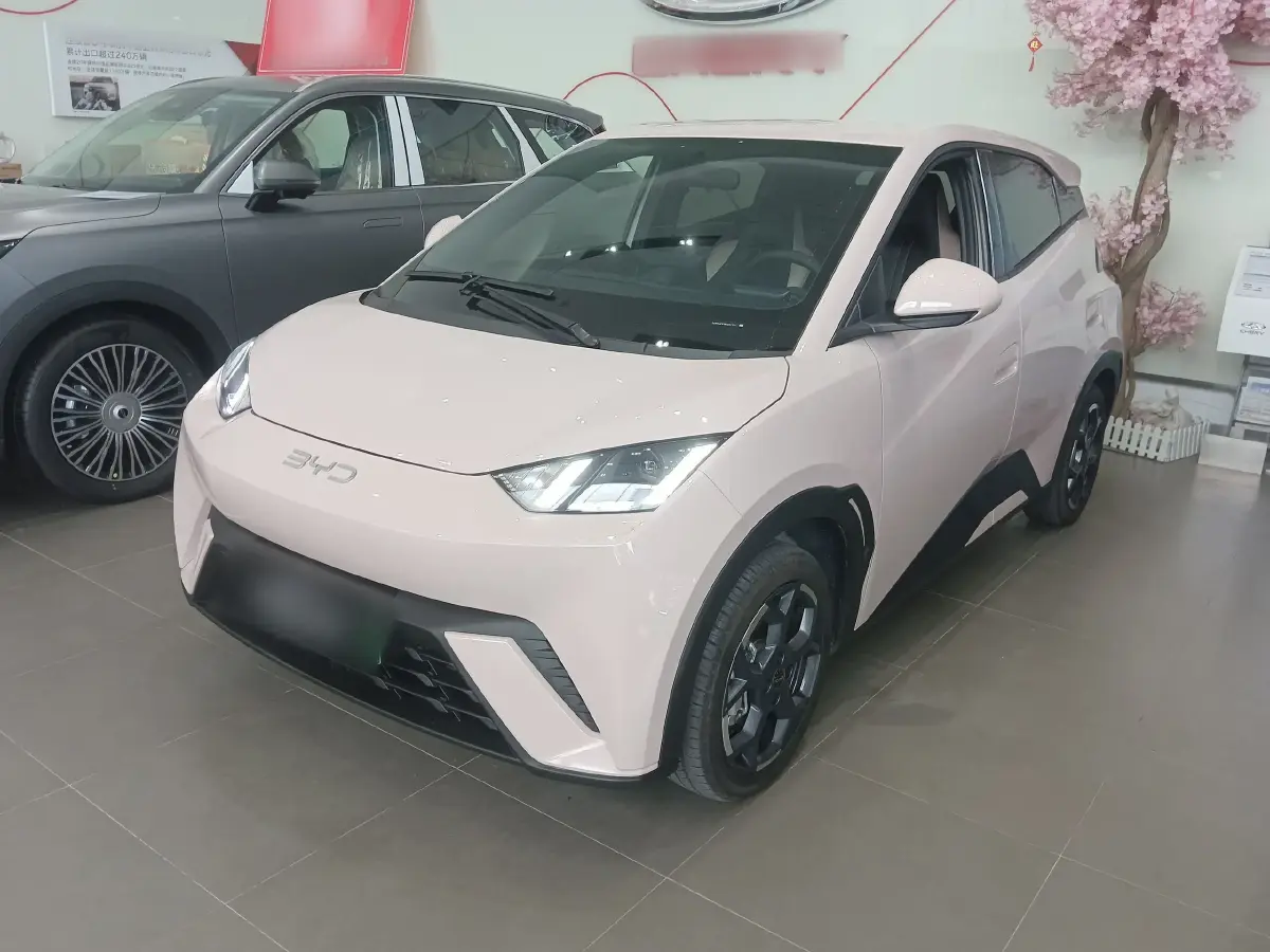 2025 BYD Seagull BEV 38.88KWH