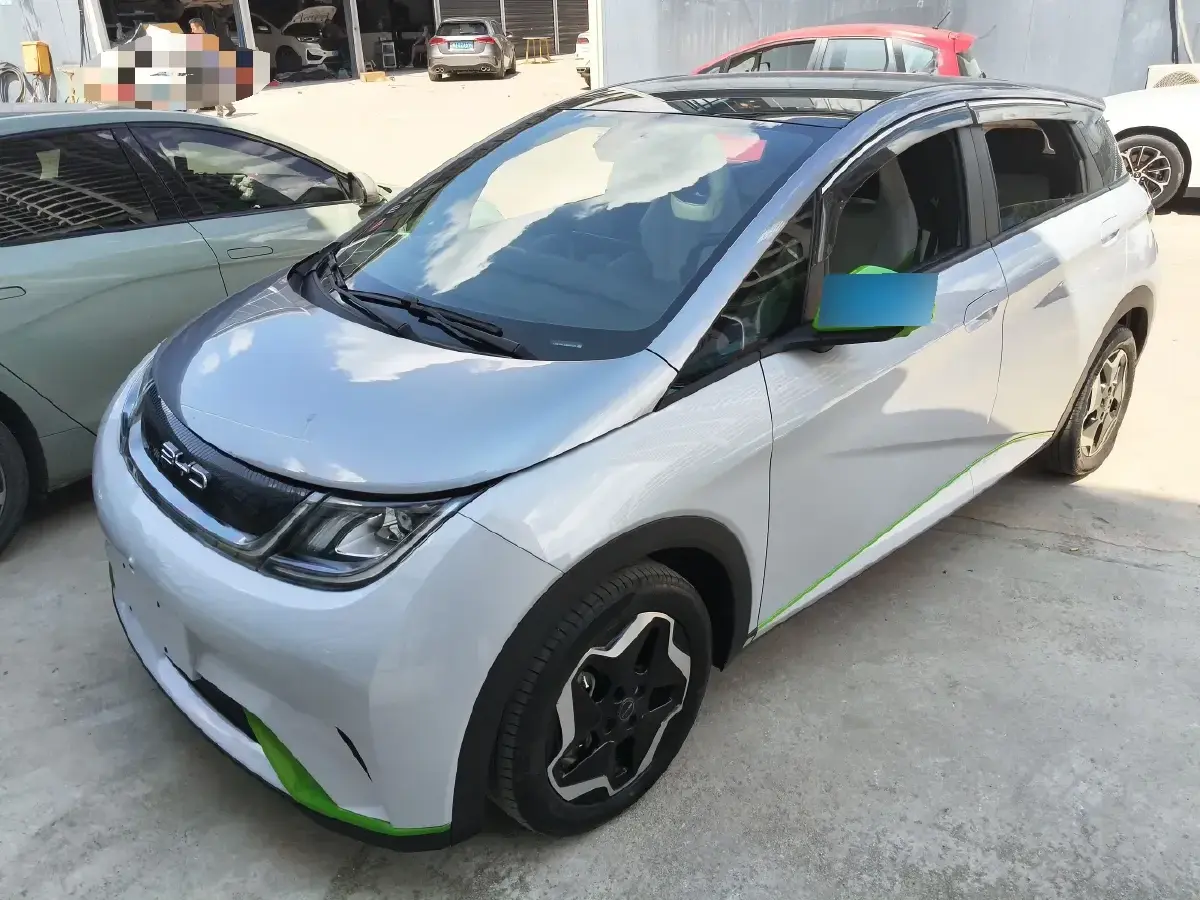 2021 BYD Dolphin BEV 44.9KWH
