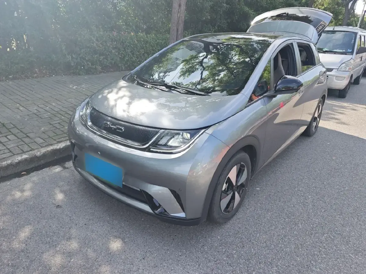 2023 BYD Dolphin BEV 44.928KWH