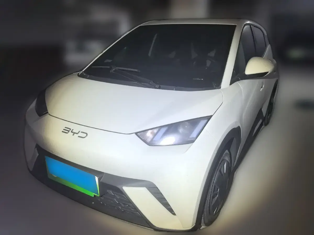 2025 BYD Seagull BEV 30.08KWH