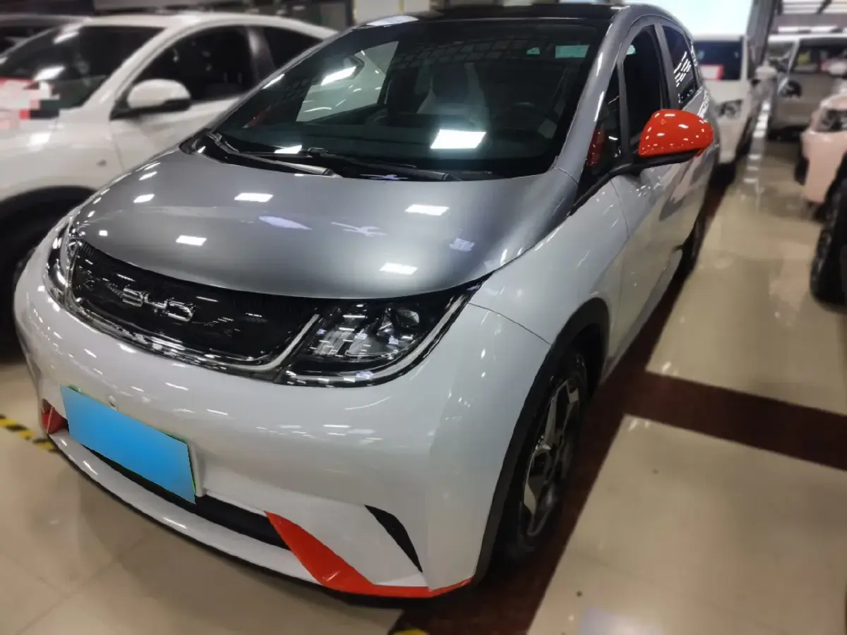 2021 BYD Dolphin BEV 44.9KWH