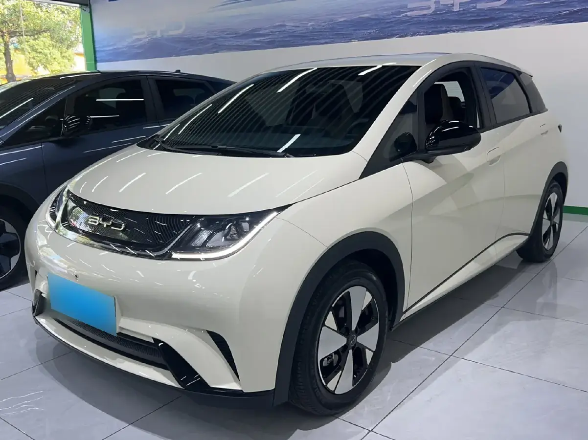 2023 BYD Dolphin BEV 44.928KWH
