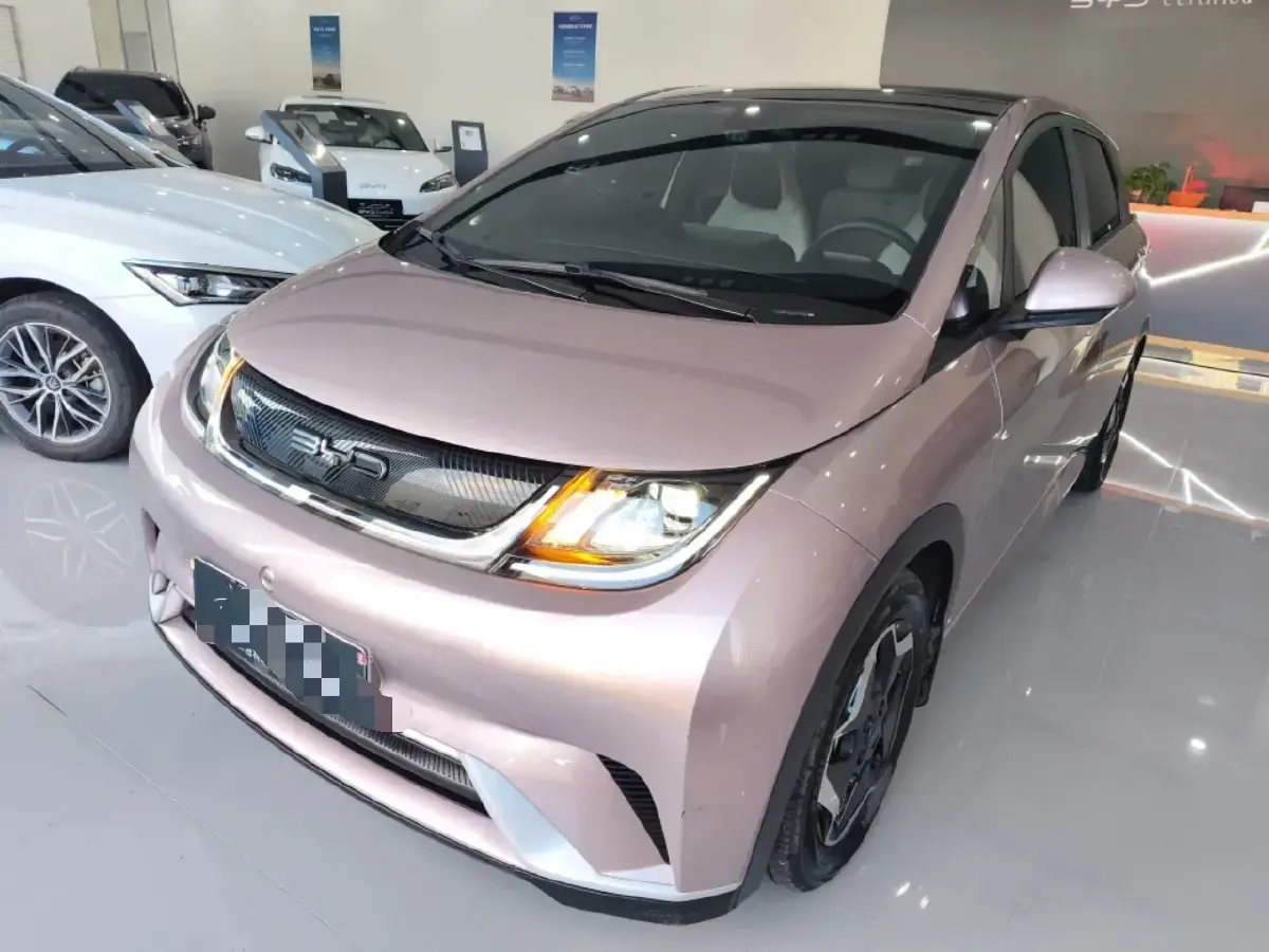 2021 BYD Dolphin BEV 44.9KWH