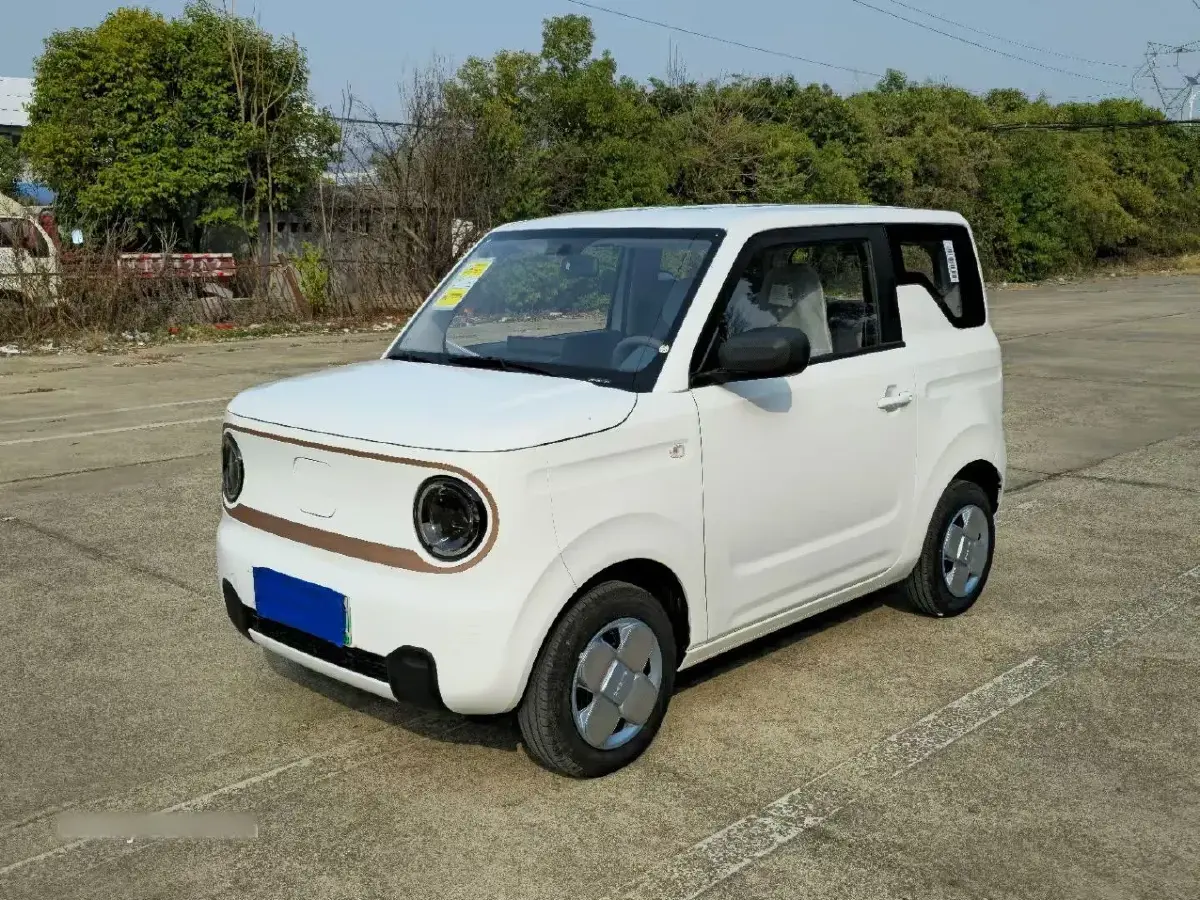 2024 Geely Galaxy Panda BEV 17.03KWH