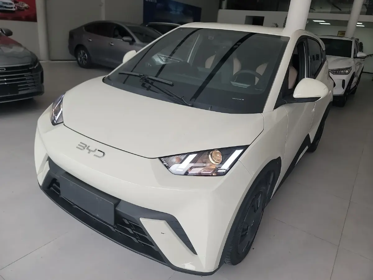 2024 BYD Seagull BEV 30.08KWH
