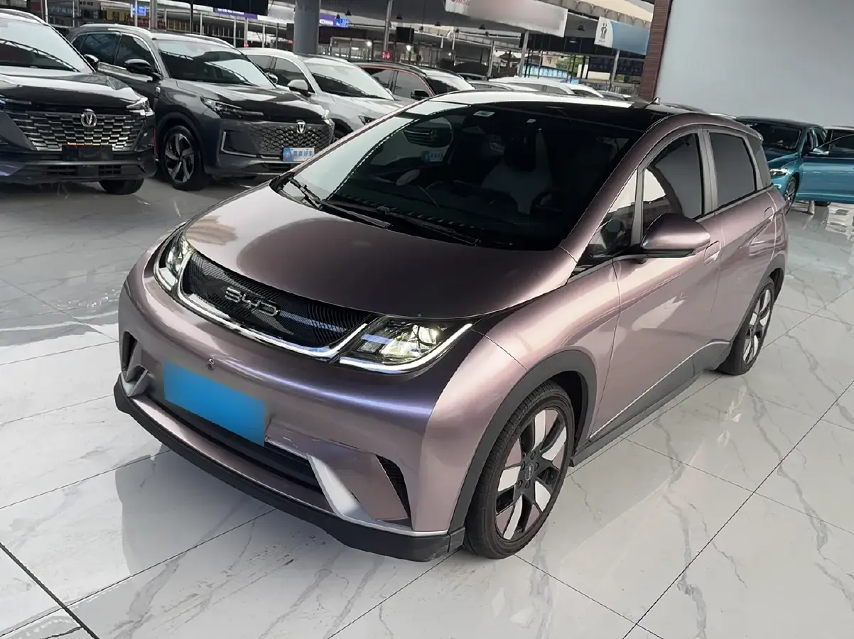 2021 BYD Dolphin BEV 44.9KWH