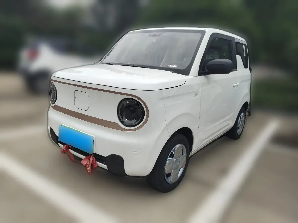 2024 Geely Galaxy Panda BEV 17.03KWH