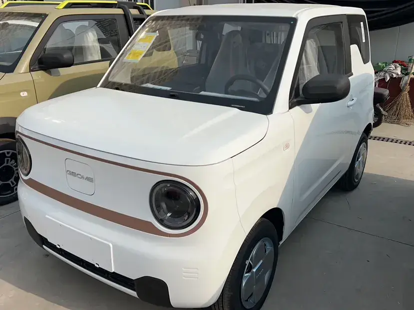 2024 Geely Galaxy Panda BEV 17.03KWH