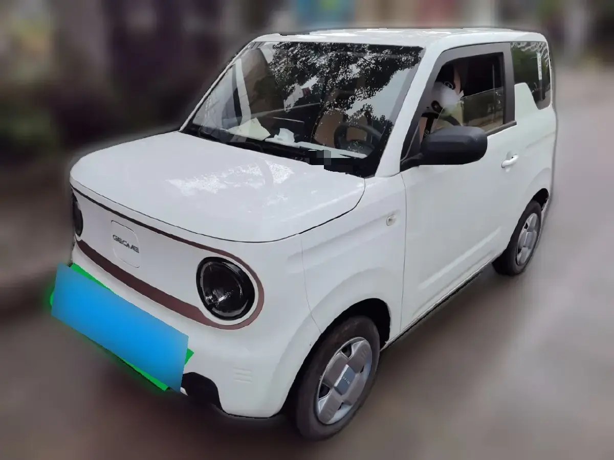 2023 Geely Galaxy Panda BEV 17.03KWH