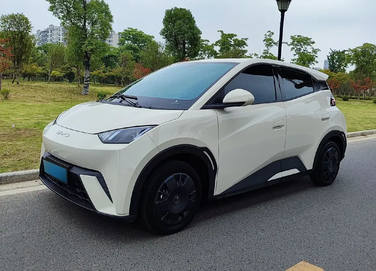 2023 BYD Seagull BEV 30.08KWH