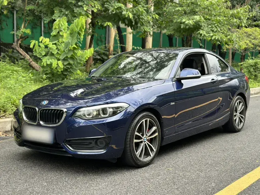 2018 BMW 2 Series 1.5T 136HP L3 8AT