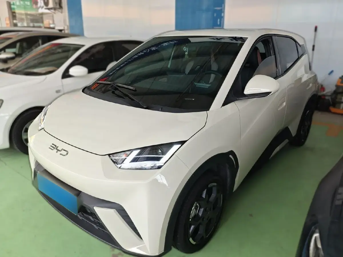 2025 BYD Seagull BEV 30.08KWH