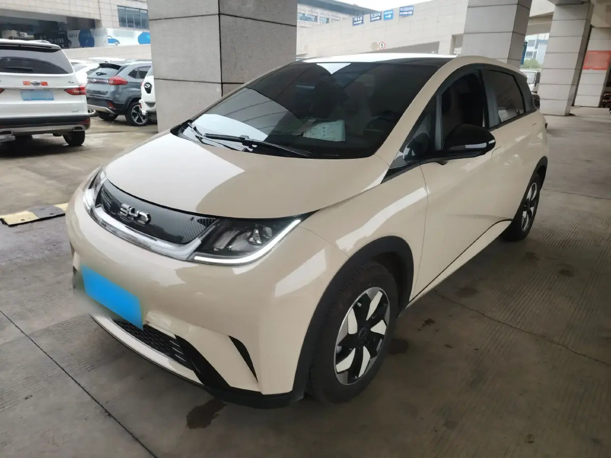 2025 BYD Dolphin BEV 44.928KWH