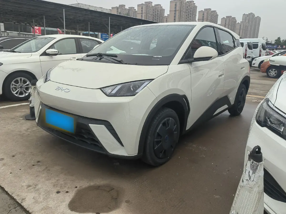 2025 BYD Seagull BEV 30.08KWH