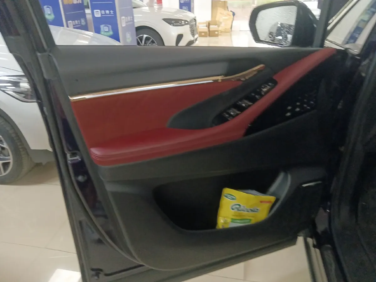 2023 GAC Trumpchi E9 2.0T 190HP L4 2DHT PHEV 25.57KWH,autocango,china used car exporter,china ev exporter,chinese used car exporter,chinese used ev exporter