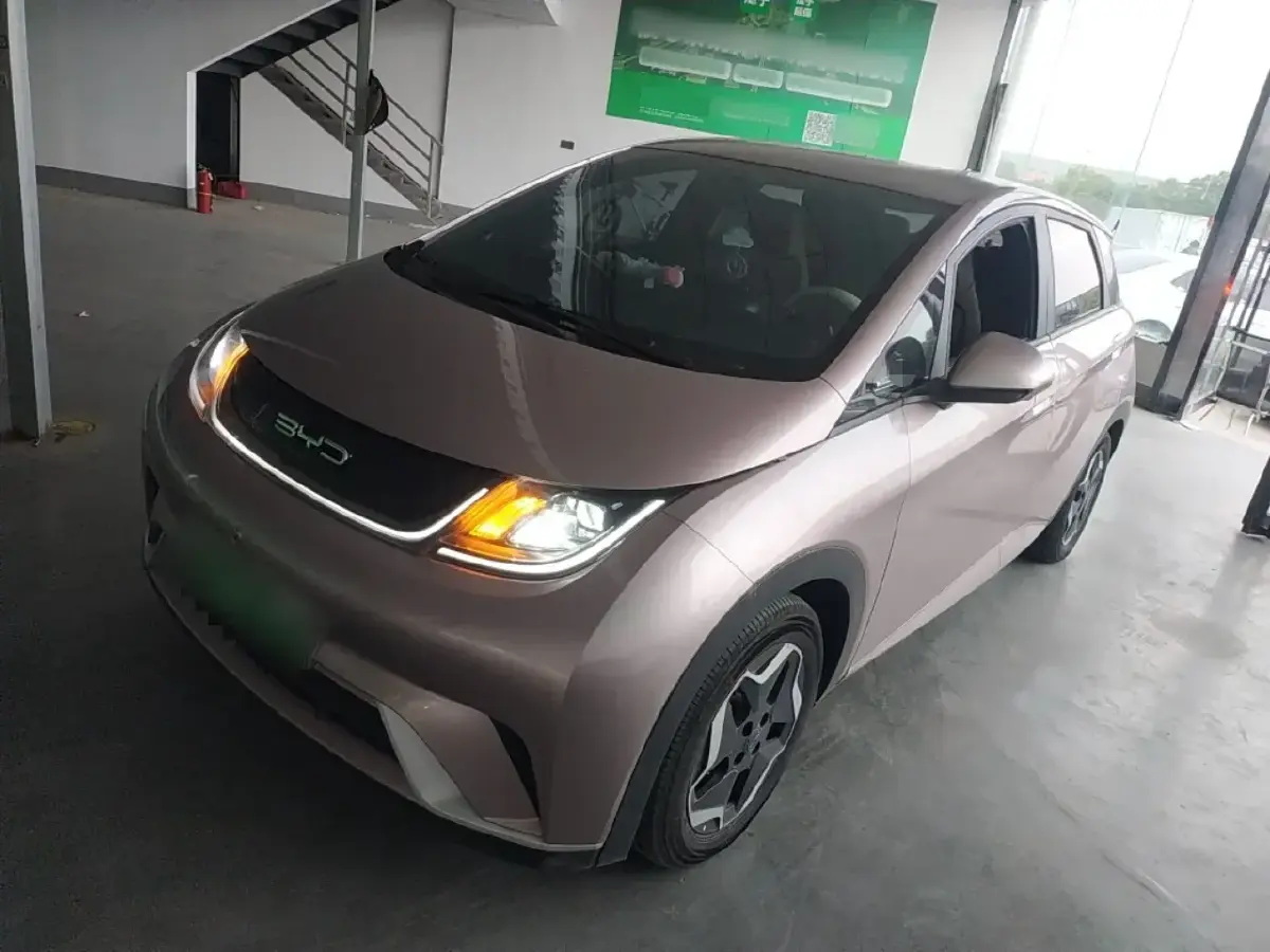2021 BYD Dolphin BEV 44.9KWH