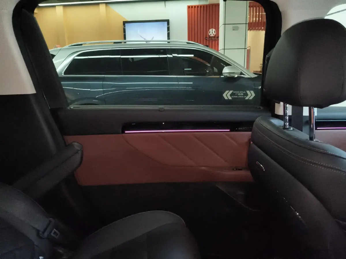 2024 GAC Trumpchi E8 2.0L 140HP L4 2DHT PHEV 25.57KWH,autocango,china used car exporter,china ev exporter,chinese used car exporter,chinese used ev exporter