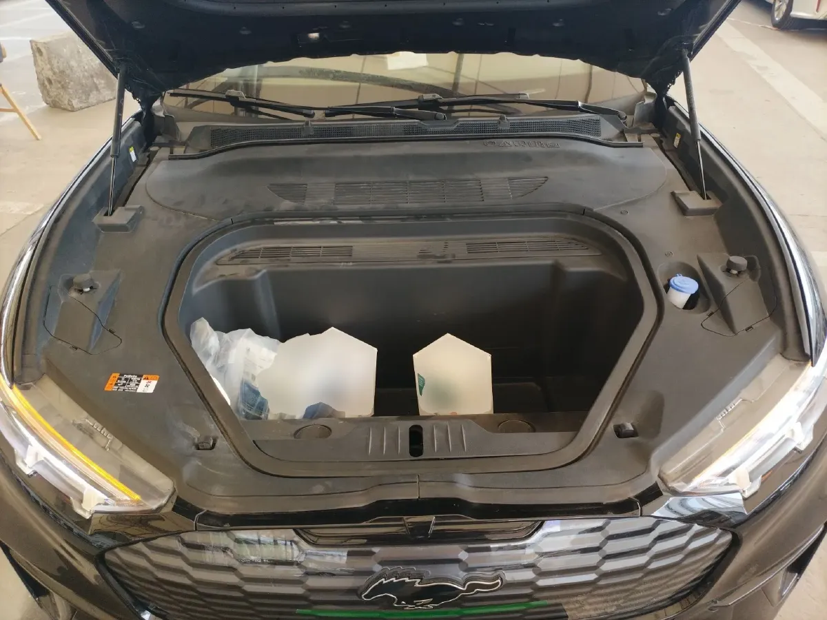 2021 Ford Mustang Mach-E BEV 61.5KWH,autocango,china used car exporter,china ev exporter,chinese used car exporter,chinese used ev exporter