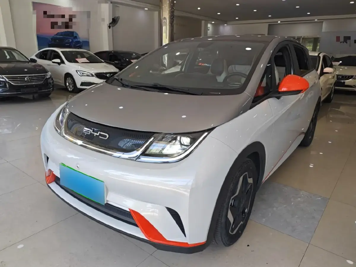 2021 BYD Dolphin BEV 44.9KWH