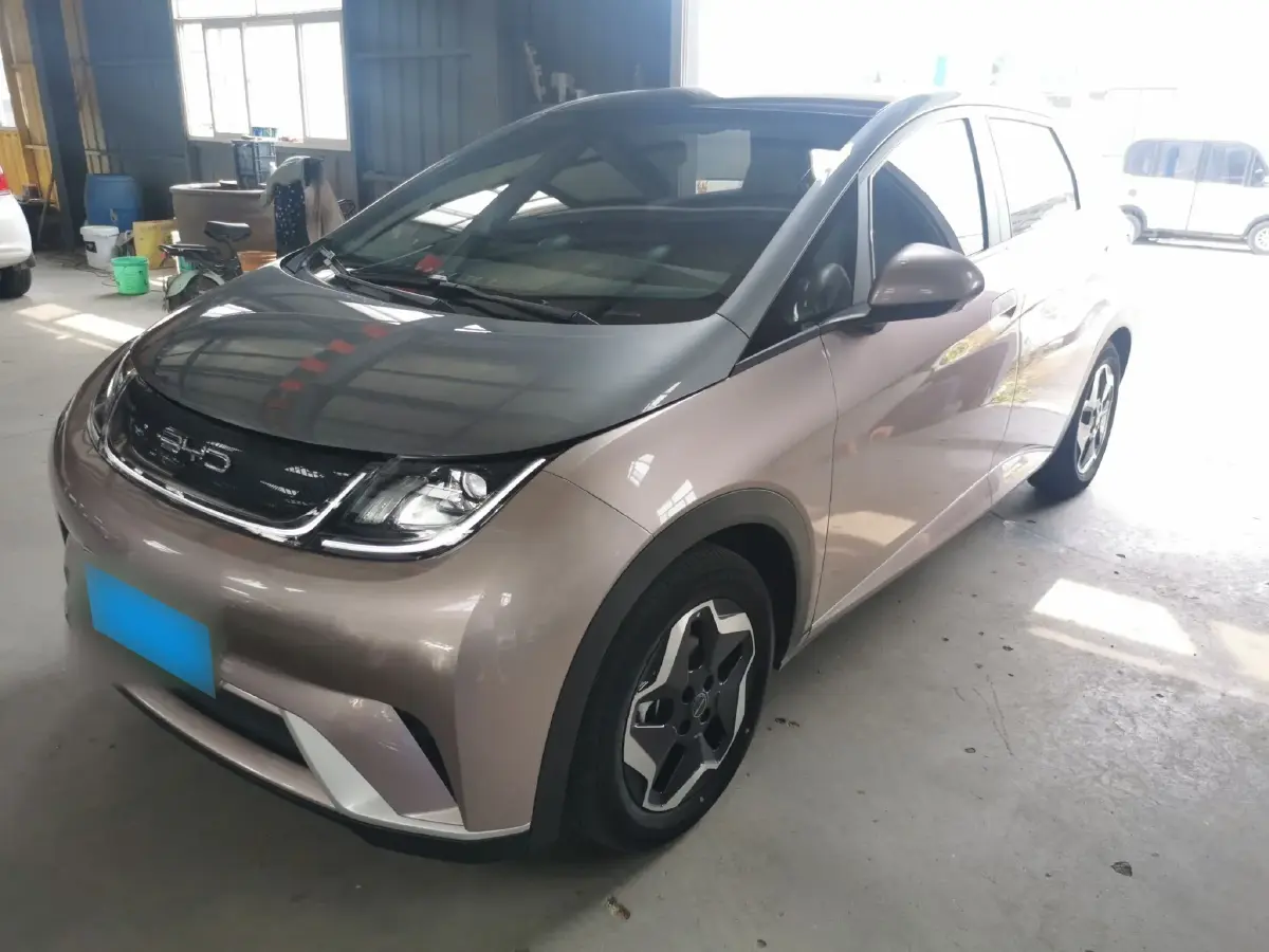 2021 BYD Dolphin BEV 44.9KWH