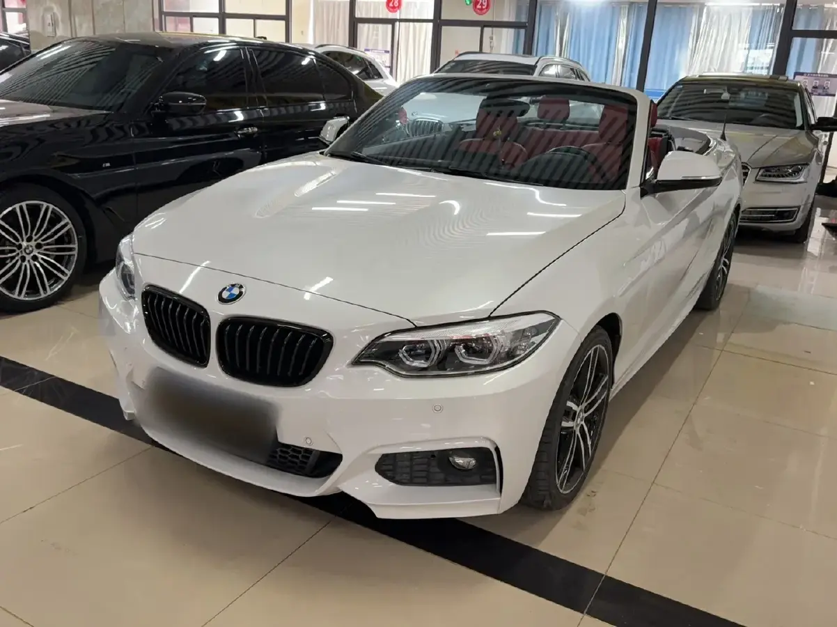 2019 BMW 2 Series 2.0T 184HP L4 8AT
