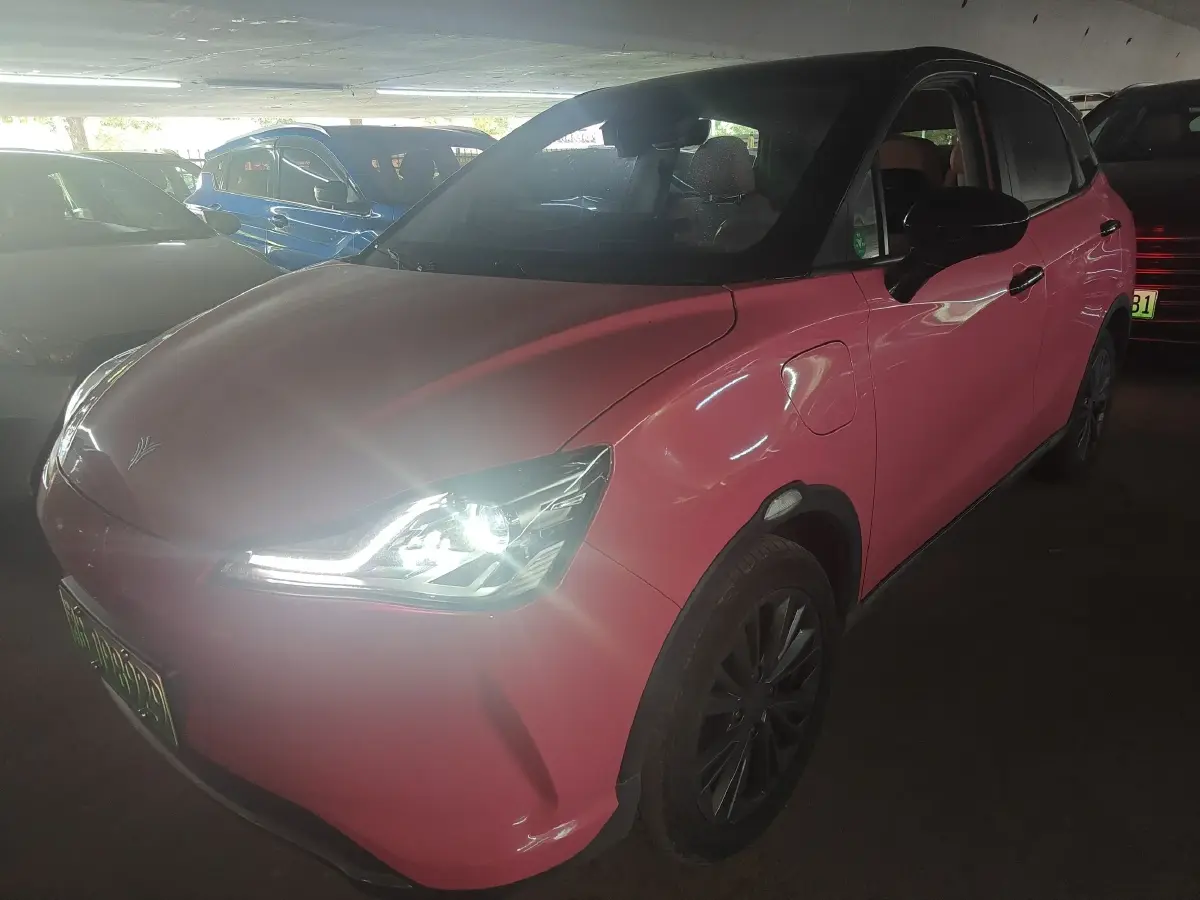 2022 Neta V BEV 38.54KWH