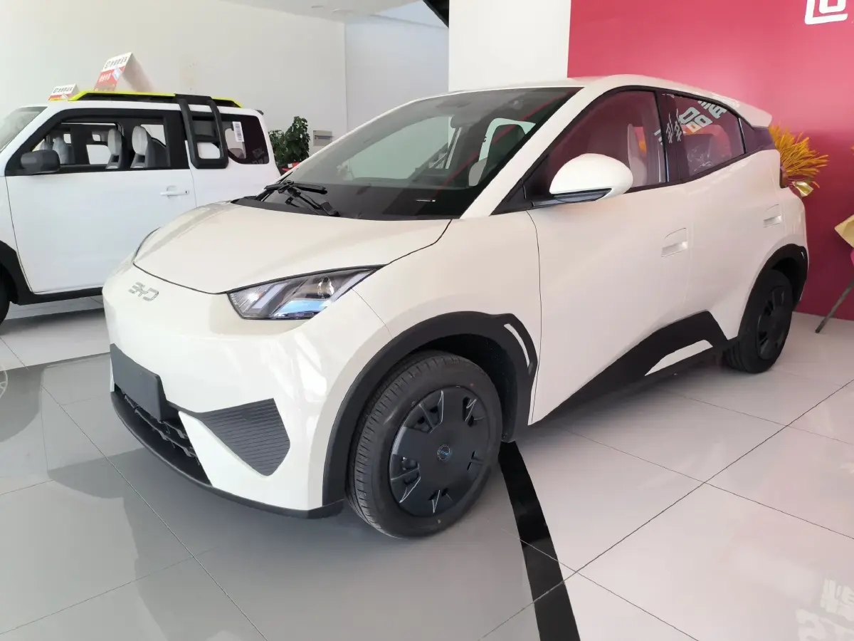 2025 BYD Seagull BEV 30.08KWH